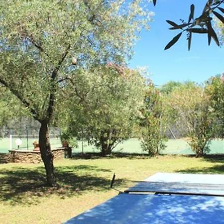 Apartamento D'une Avec Piscine Partagee Et Terrasse Amenagee A Ocagnano A 4 Km De La